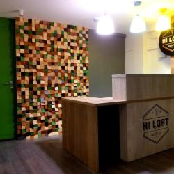Фото Отель Hi Loft (Хай лофт)