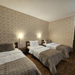 Фото Отель Шишкино-парк аэропорт Домодедово