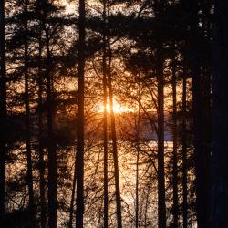 Номер улучшенный