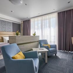 Номер полулюкс с 1 двуспальной кроватью