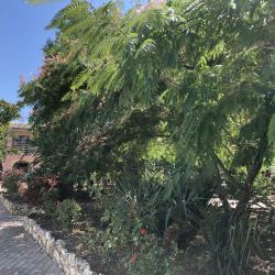 Фото Отель Город-Ок!