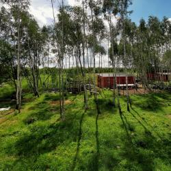 Фото Отель Гостевой дом Елань