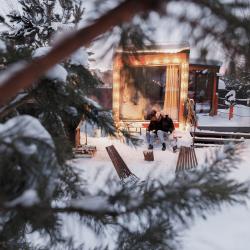 Коттедж стандарт Гриффиндор