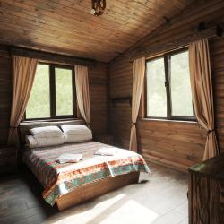 Фото Отель Экопарк Долина Нарзанов