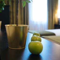 фото 22 Apple Dream Hotel (Эпл Дрим Отель)