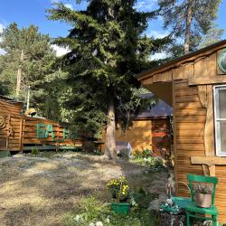 Фото Отель Тайга-House (Хаус)