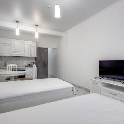 1-комнатные апартаменты студия