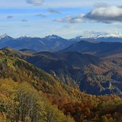 Фото Отель А-Фрейм у реки Адыгея