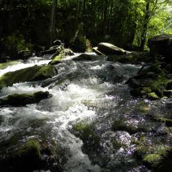 Фото Отель Гостиный дворик
