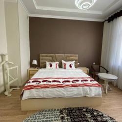 Фото Отель Panjakent Plaza (Панджакент плаза)