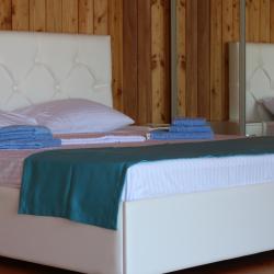 1-комнатные апартаменты люкс (мансарда)