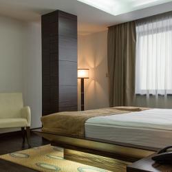 International Hotel SAYEN (Саен) — 43f2d1709cbf91c6672ea672d6965651