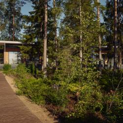 8-местный коттедж улучшенный с общей террасой и видом на озеро