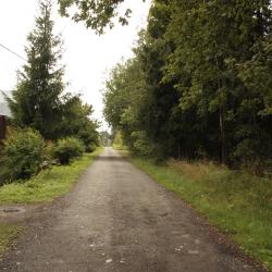 Фото Отель Коттедж Премиум Лесное