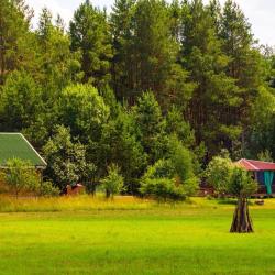 Фото Отель Усадьба Лесной эдем