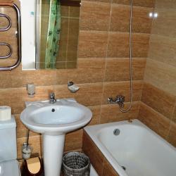 Номер комфорт с 1 двуспальной кроватью с видом на парк