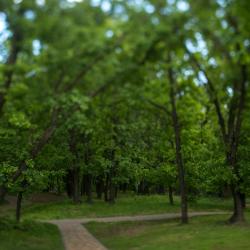 Фото Отель Дубровский парк-клуб