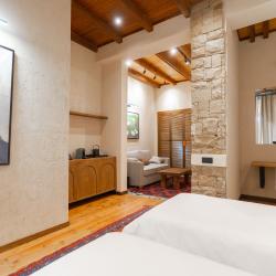 Номер делюкс с 1 двуспальной кроватью и террасой