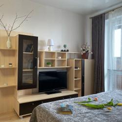 1-комнатные апартаменты улучшенные Ижевск улица Софьи Ковалевской, 11А,