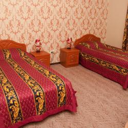 Номер люкс с 2 односпальными кроватями