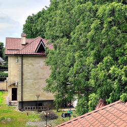 Eco House (Эко Хаус) — 441addd0e2820ec8f33f3f670aa123b5