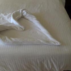 Фото Отель Вилла на песке