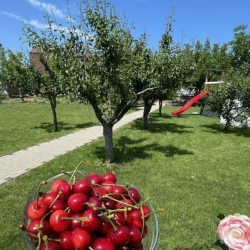 Фото Отель Гостевой дом на улице Комсомольская 41