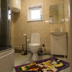 Фото Отель Утиная история