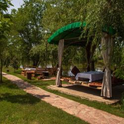 Фото Отель Golden Fish (Голден Фиш)