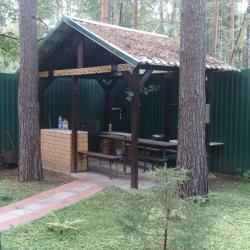 Фото Отель Лесная