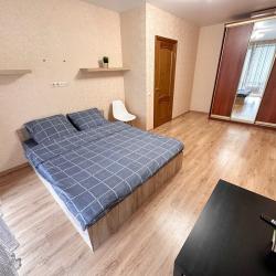 Фото Апартаменты на улице Рижская