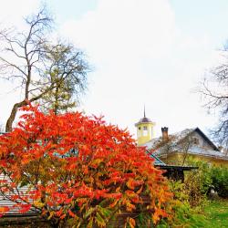 Фото Отель Усадьба Мерево