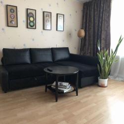 Фото Апартаменты на улице Мамина-Сибиряка 59