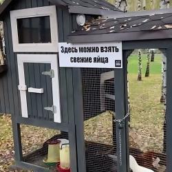 Коттедж стандарт