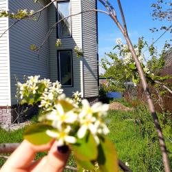 Фото Отель Камчатдар