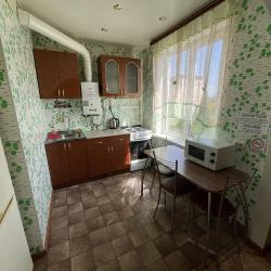 1-комнатные апартаменты студия пр-кт Чкалова 51Б