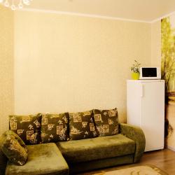 Фото Отель Былина