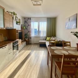 Фото Апартаменты InRoomSPb на аллее Евгения Шварца 11