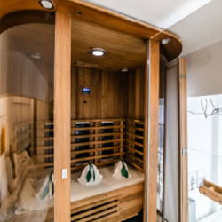 Апартаменты VIP с сауной, джакузи и камином (SPA)