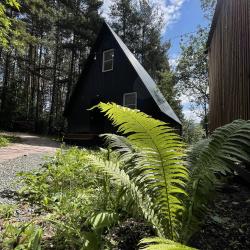 Фото Отель Гостевые дома A-frame (А-фрейм)