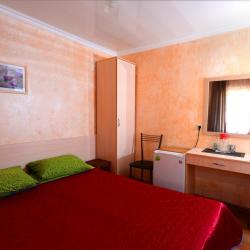 Фото Отель Ирена