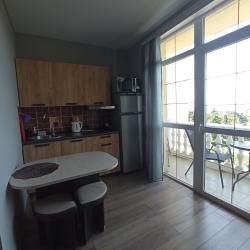 1-комнатные апартаменты с балконом и кухней