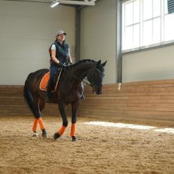 Фото Парк-Отель Басовское