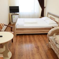 Номер люкс с 1 двуспальной кроватью