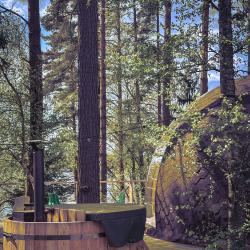 Коттедж премиум