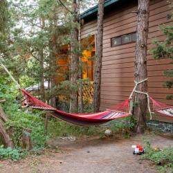 Фото Отель Лодж Алтай