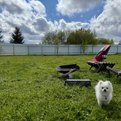 Фото Отель РETRUSНKА.Просторы (Петрушка)