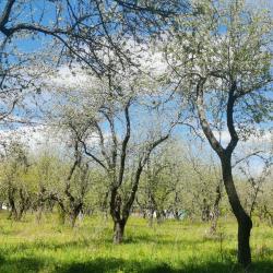 Фото Отель Усадьба