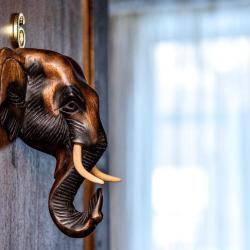 Фото Отель Азия