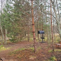 Фото Отель Олин лес